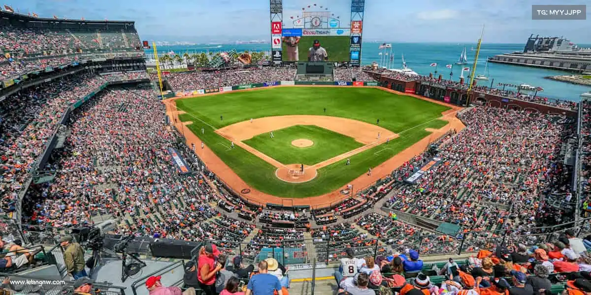 我们的核心竞争力